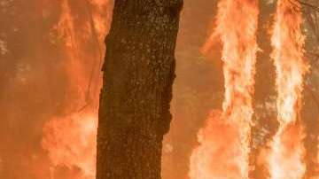 Los bomberos siguen batallando las llamas en Yosemite.