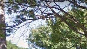 El NYPD acordonó la zona en donde fue hallada la víctima, de 48 años,