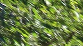 Protesta sobre la ayuda a Puerto Rico tras el Huracan Maria en el parque de City Hall en septiembre pasado.