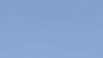 Los jóvenes DACA han quedado "en el limbo" y el programa académico que les permitía viajar a México  fue suspendido por CMSC.