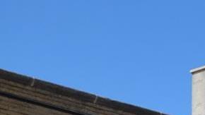 En Chicago y suburbios se realizan desfiles para celebrar la Independencia de México.