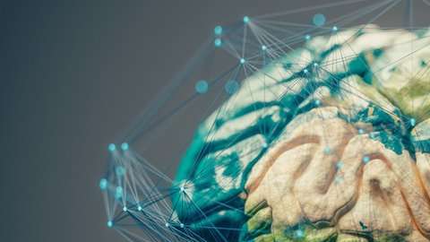 Cómo se define la personalidad es una de las preguntas que todavía la ciencia no termina de responder.