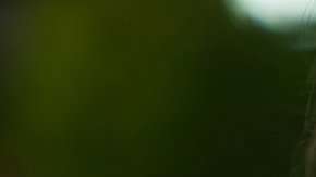 Hay tecnología especializada para utilizar olores artificiales.