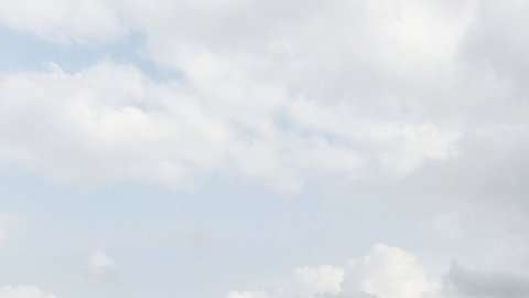 La estatua se está construyendo como tributo a un político nacionalista hindú.