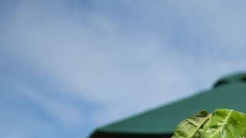 El doctor Giles Yeo, copresentador de la serie de TV de la BBC "Confía en mí, soy médico".