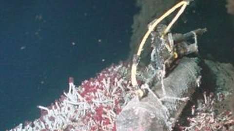 Las fumarolas o fuentes hidrotermales pueden tener hasta 400 grados C de temperatura.