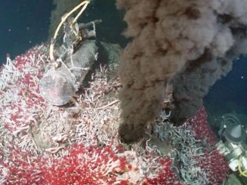 Las fumarolas o fuentes hidrotermales pueden tener hasta 400 grados C de temperatura.
