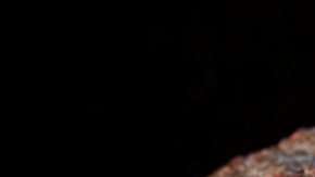 Se calcula que el dibujo fue realizado hace 73,000 años.