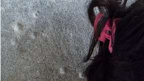 Más de 39 millones de personas están subalimentadas en la región.