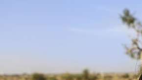 103462364_gettyimages-542329762