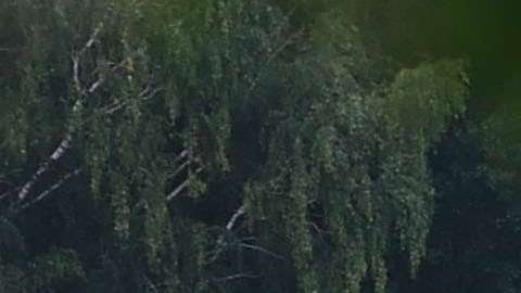 El tren de hidrógeno solo emite vapor y agua.