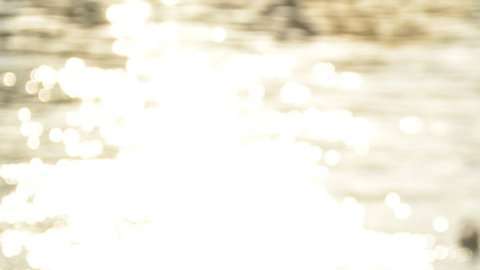 Unas 180 especies de animales marinos comen plásticos.