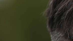 Él y sus seguidores se oponen a la amenaza contra la identidad europea que representan los inmigrantes