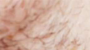 ¿Por qué los hombres tienen un punto de vista distorsionado sobre la vida sexual de las mujeres?