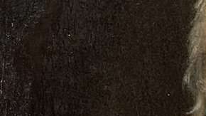 Galileo Galilei pasó los últimos años de su vida encerrado en su casa.