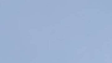 Parte del "bosque fantasma" que fue sacudido y enterrado en el océano.