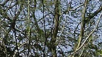 En Pima rechazan los fondos que el gobierno federal otorga a ICE y CBP.