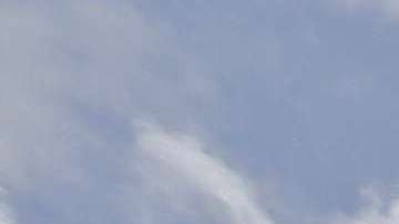 ACLU discutirá en tribunales casos de familias migrantes que no se les autoriza reunirse.