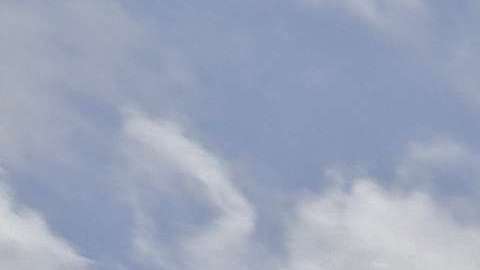 ACLU discutirá en tribunales casos de familias migrantes que no se les autoriza reunirse.