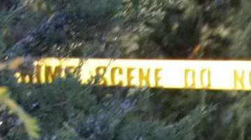 Apresaron a 24 presuntos depredadores sexuales de menores en NJ.