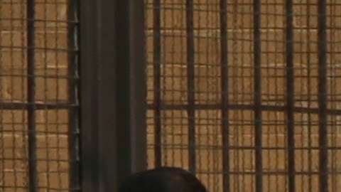 El periodista Mario Leonel Gómez Sánchez fue asesinado a balazos en Chiapas.