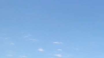 Un gran grupo de inmigrantes arrestado por CBP en Arizona.