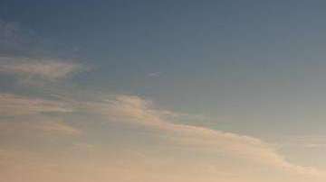 Los modelos disponibles