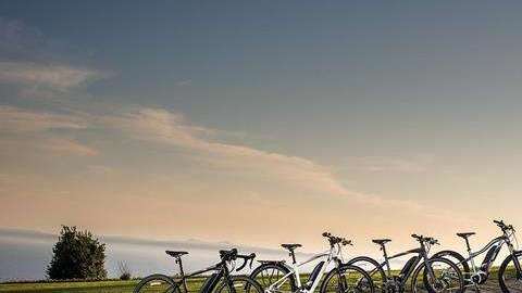 Los modelos disponibles