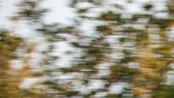 El Chevrolet Volt aparece en la lista de los más veloces... para revender