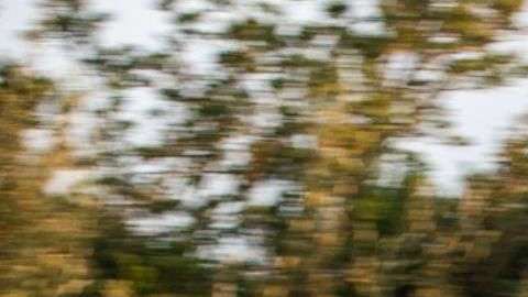 El Chevrolet Volt aparece en la lista de los más veloces... para revender