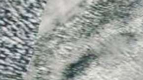 Esta rareza solo se ha visto en dos ocasiones desde los años 70.