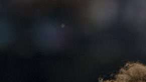 Mariano Díaz festeja su gol ante la Roma en Champions. (Foto: EFE/Rodrigo Jiménez)