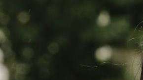 La esposa de "El Chapo" acude fielmente a las audiencias en la corte de Brooklyn.