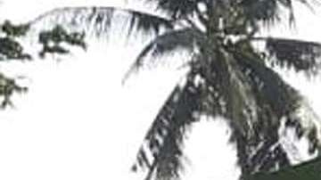 Casas en ruinas en Palu, Indonesia. EFE/