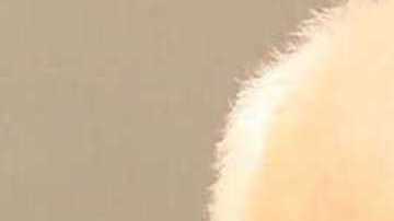 Walter William Wolford Sr.