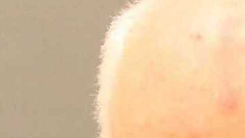 Walter William Wolford Sr.