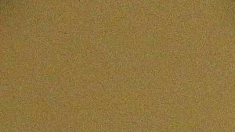 El padre Alejandro Solalinde.