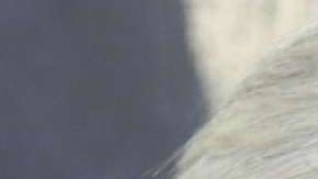 Ambos líderes han tenido comunicación vía telefónica.