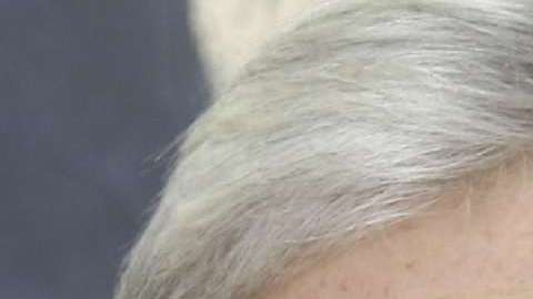 Ambos líderes han tenido comunicación vía telefónica.