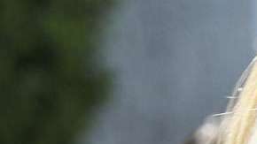 Angélica Rivera dejará de ser Primera Dama.