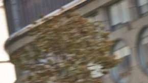 El Audi A4 aparece en esta poco honorable lista