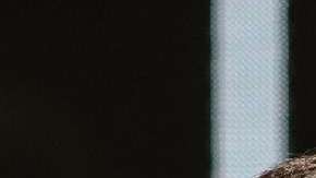 Beto O'Rourke tiene amplias posibilidades de ganarle a Ted Cruz.