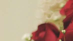 La familia del novio no permitió que el chico se casara por culpa de la app.