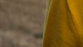 Cientos e incluso miles de libros podrías leer en tan solo un año.