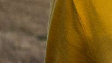 Cientos e incluso miles de libros podrías leer en tan solo un año.