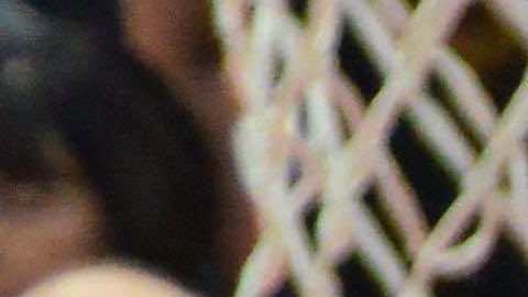 La temporada 2018-2019 de los Bulls empieza el lunes 24 de septiembre. (Javier Quiroz / La Raza)