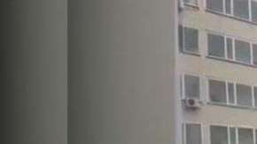 La astucia del vecino evitó una catástrofe.