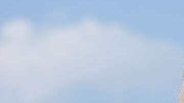 limpieza total y muy sencilla