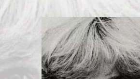 Christine Blasey Ford testificará el lunes ante el Senado.