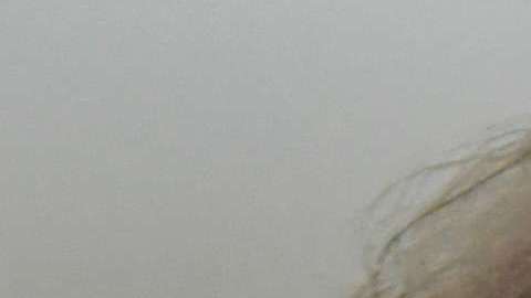 Trump vuelve desconocer los hechos